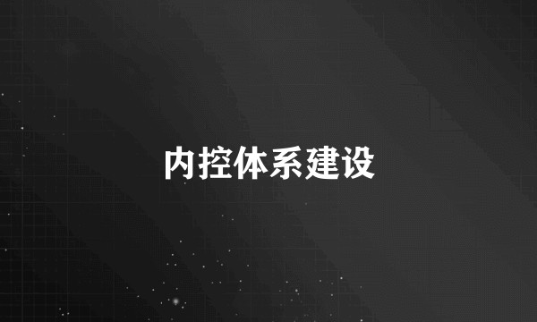 内控体系建设