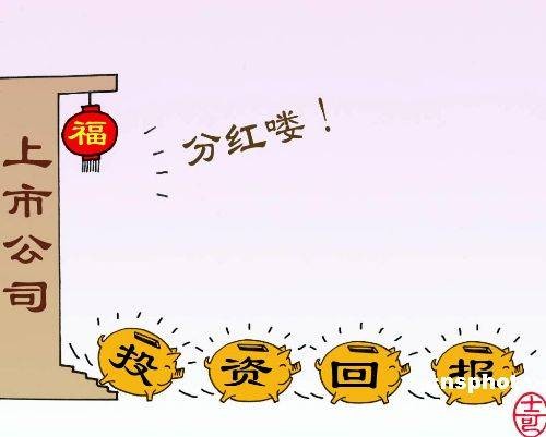 红利（公司利润分配一种）