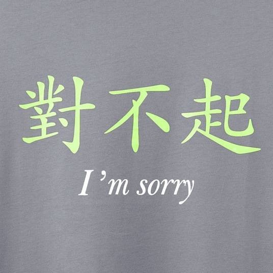 对不起（汉语词汇）