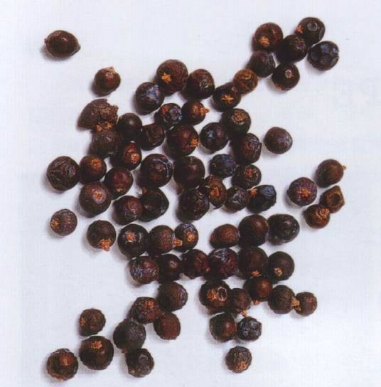 杜松子（柏科桧属植物莓果）
