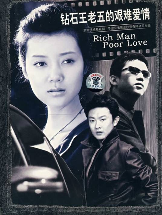 钻石王老五的艰难爱情(2008年田有良执导的电视剧)