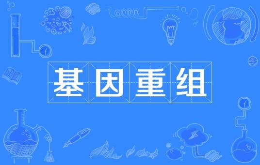 基因重组（生物学名词）