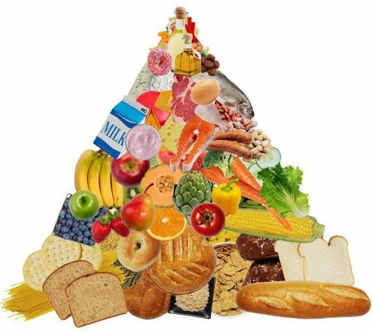 功能性食品(具有特定营养保健功能的食品)