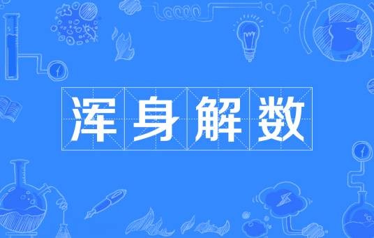 浑身解数
