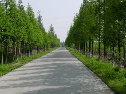公路工程（公路建筑管理术语）