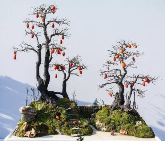 盆景(传统艺术形式)