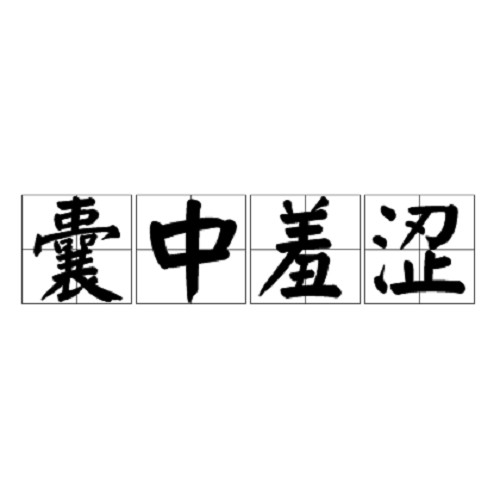 囊中羞涩