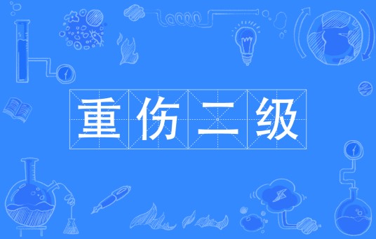 重伤二级