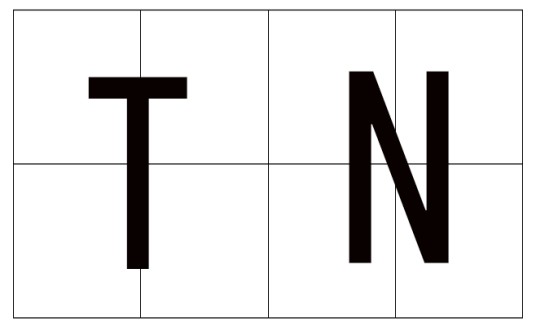 TN（系统中的重要组成部分）