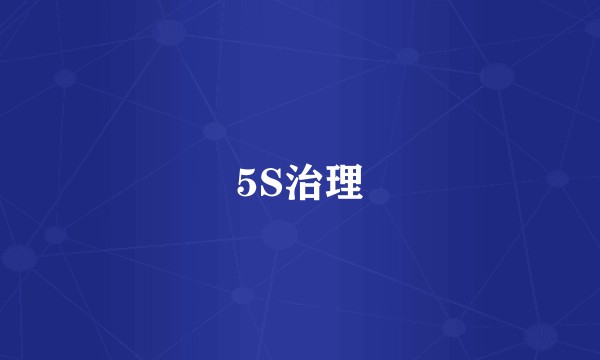 5S治理