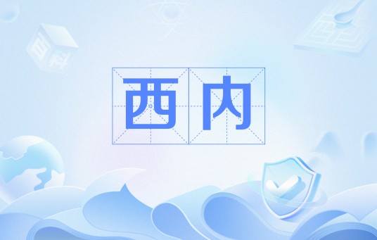 西内(网络流行语)