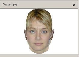 Web3D技术