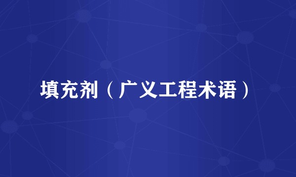 填充剂（广义工程术语）