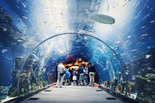 水族馆（水生生物饲养展示和科普教育的场所）