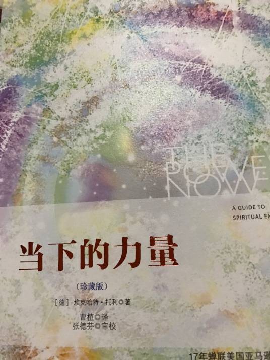 当下的力量(2009年中信出版社出版的图书)