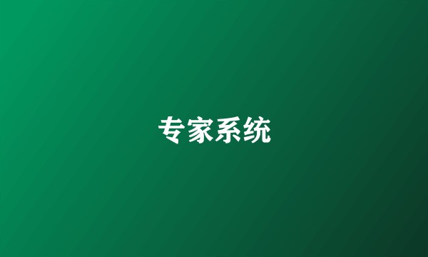 专家系统