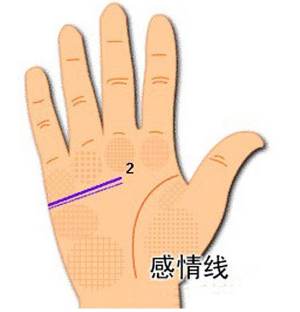 感情线(人体手掌上的三大主线之一)