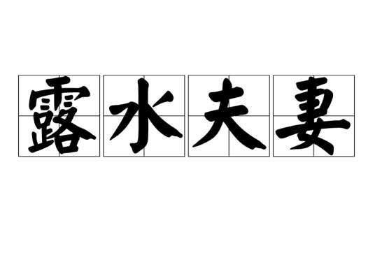 露水夫妻
