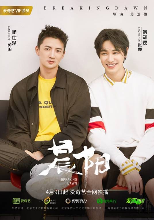 晨阳(2019年苏浩旗执导的电视剧)