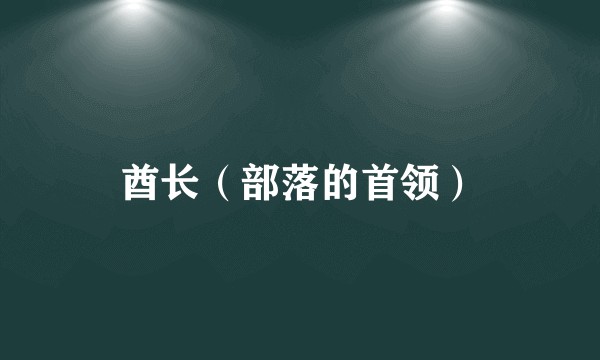 酋长(部落的首领)