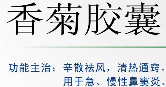 香菊胶囊（山东步长制药股份有限公司生产的药品）