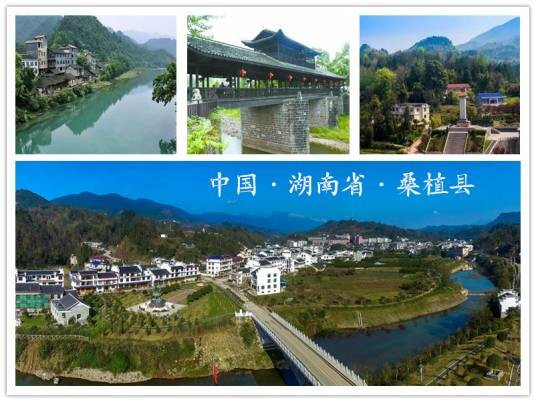 桑植县
