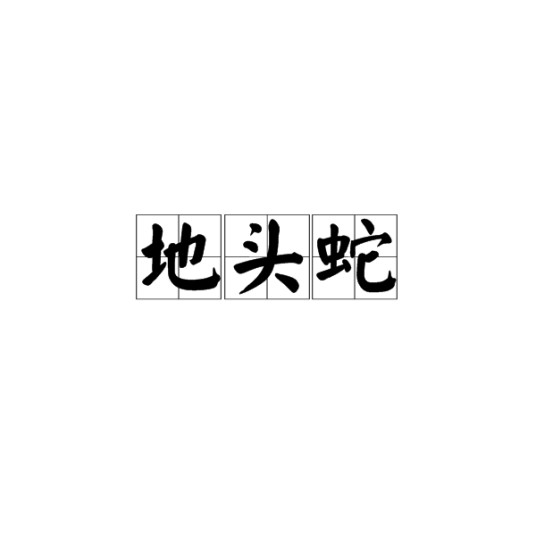 地头蛇（汉语词语）