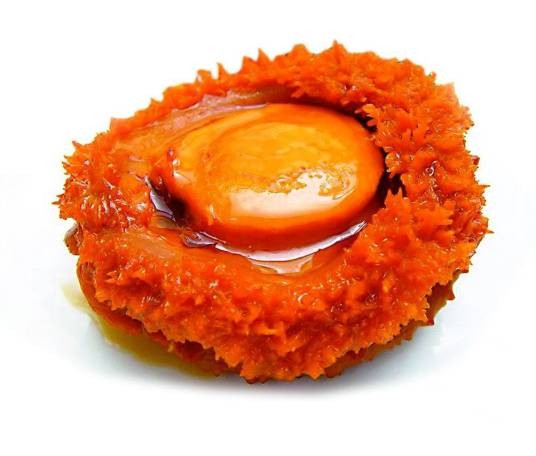 阿一鲍鱼