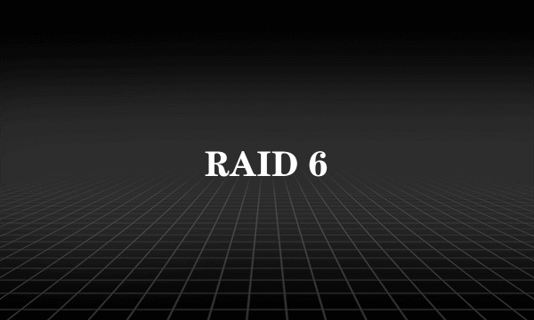 RAID 6