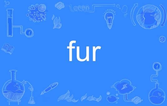 Fur（英文单词）