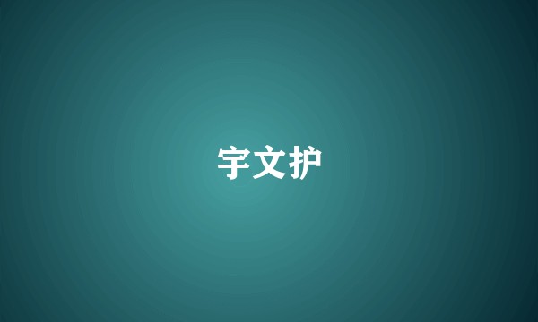 宇文护