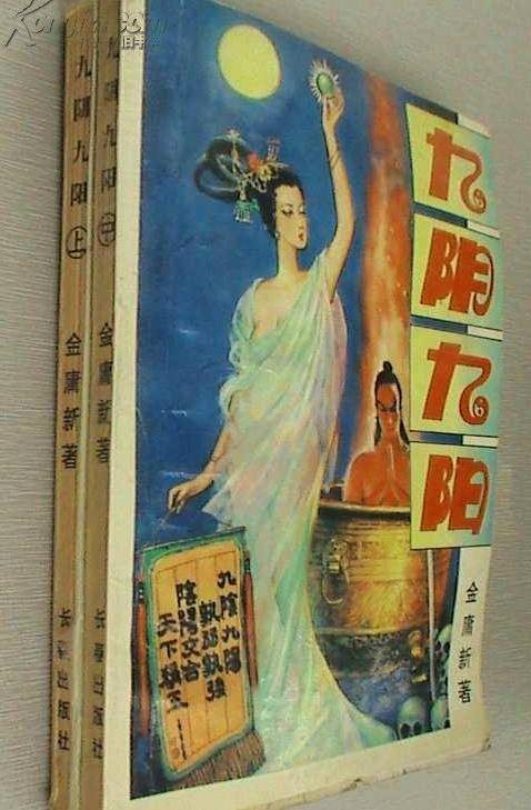 九阴九阳（“金庸新”的小说）
