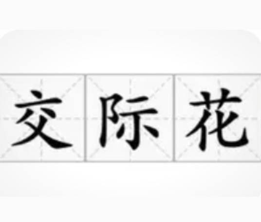 交际花