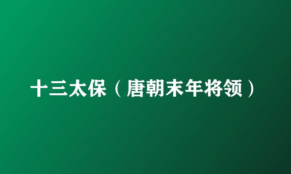 十三太保(唐朝末年将领)