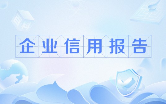 企业信用报告