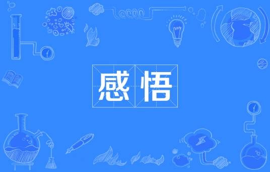 感悟（人类情感）