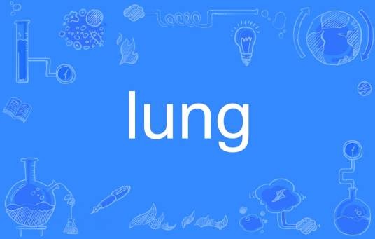 lung