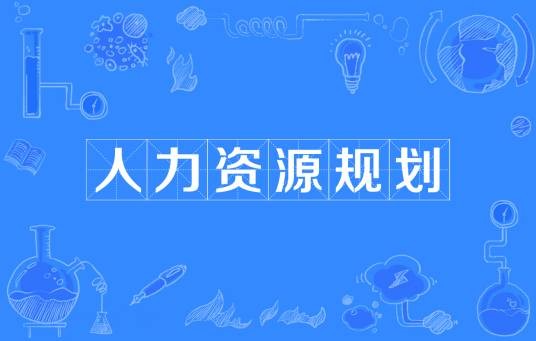 人力资源规划（提供人力资源的战略工程）