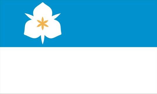 盐湖城（美国犹他州的首府和最大城市）
