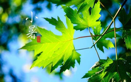 小暑（二十四节气之一）