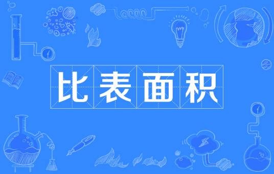 比表面积