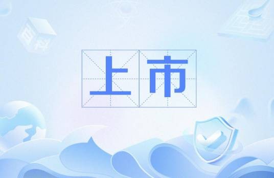 上市（证券市场术语）