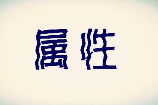 属性(计算机用语)