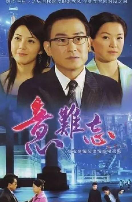 意难忘（2004年王为执导长篇电视剧）