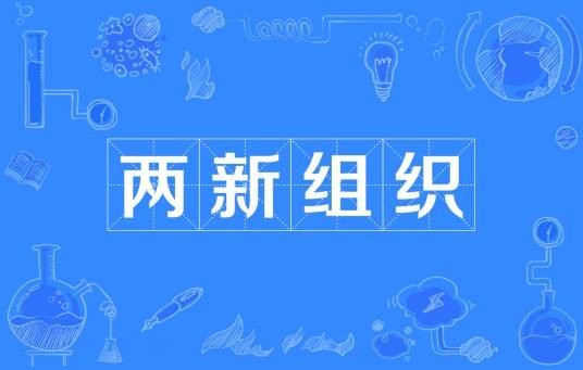 两新组织