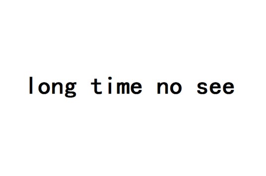 long time no see（英语常用语）