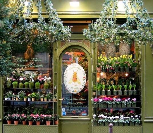 花店（经营买卖花卉店铺）