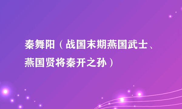 秦舞阳（战国末期燕国武士、燕国贤将秦开之孙）