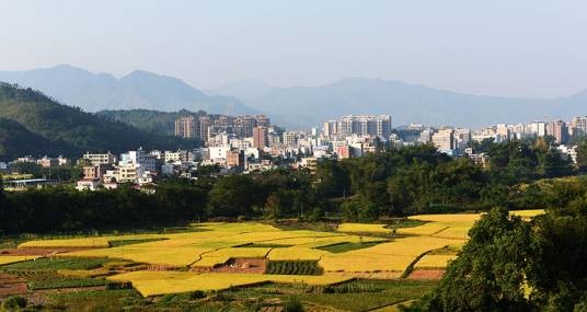 连平县