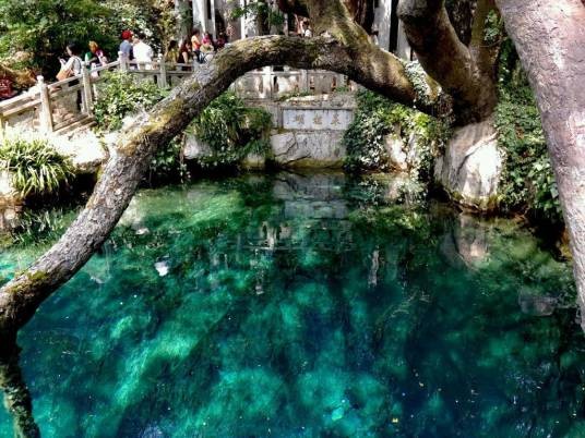 蝴蝶泉（中国4A级旅游景区）